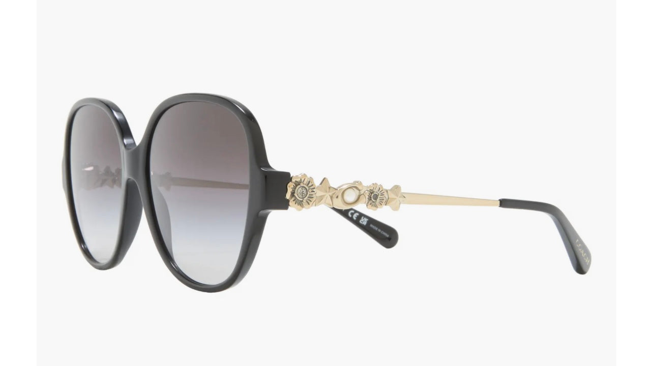 Lentes de dama marca Coach